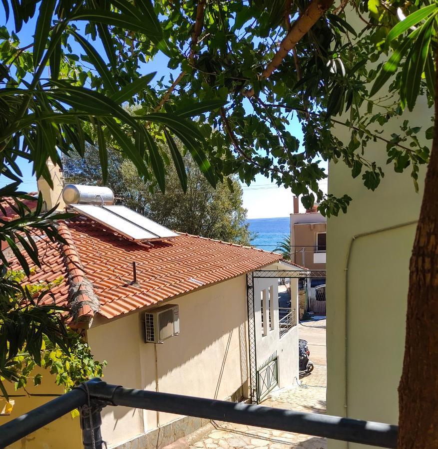 Ellinas Hotel Chrisi Ammoudia Exterior foto